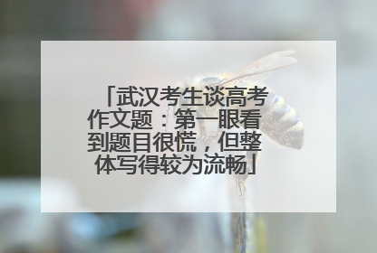 武汉考生谈高考作文题：第一眼看到题目很慌，但整体写得较为流畅