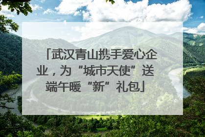 武汉青山携手爱心企业，为“城市天使”送端午暖“新”礼包