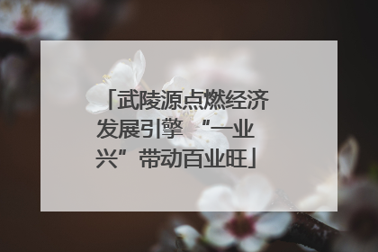 武陵源点燃经济发展引擎 “一业兴”带动百业旺