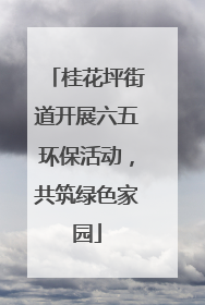 桂花坪街道开展六五环保活动，共筑绿色家园