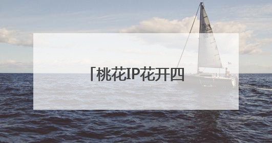 桃花IP花开四季，肥城打造全域旅游新标杆