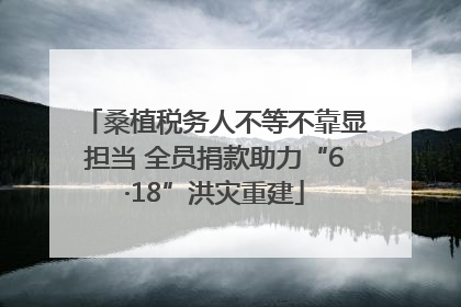 桑植税务人不等不靠显担当 全员捐款助力“6·18”洪灾重建