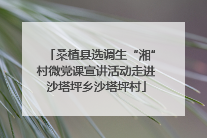 桑植县选调生“湘”村微党课宣讲活动走进沙塔坪乡沙塔坪村