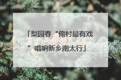 梨园春“俺村最有戏”唱响新乡南太行