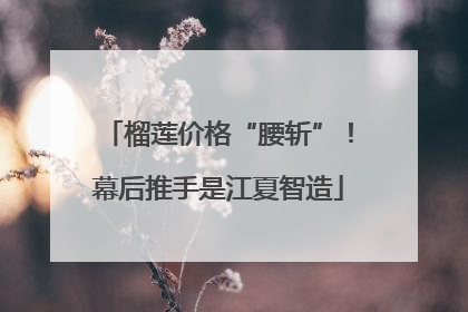 榴莲价格“腰斩”！幕后推手是江夏智造