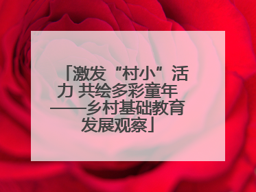 激发“村小”活力 共绘多彩童年——乡村基础教育发展观察