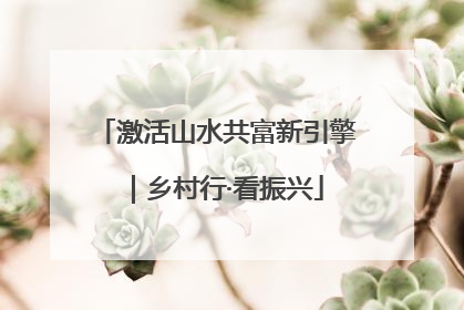 激活山水共富新引擎｜乡村行·看振兴