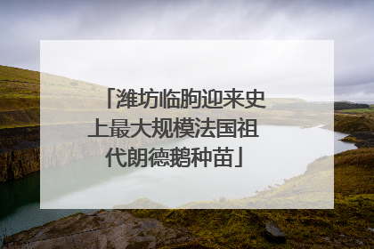 潍坊临朐迎来史上最大规模法国祖代朗德鹅种苗