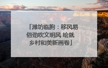 潍坊临朐：移风易俗劲吹文明风 绘就乡村和美新画卷