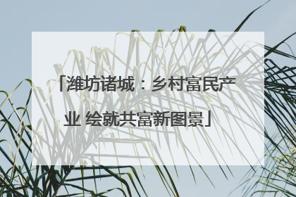 潍坊诸城：乡村富民产业 绘就共富新图景
