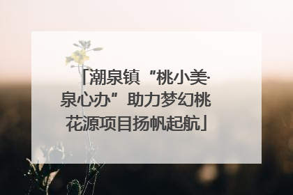 潮泉镇“桃小美·泉心办”助力梦幻桃花源项目扬帆起航