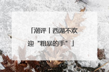 潮评丨西湖不欢迎“粗暴的手”