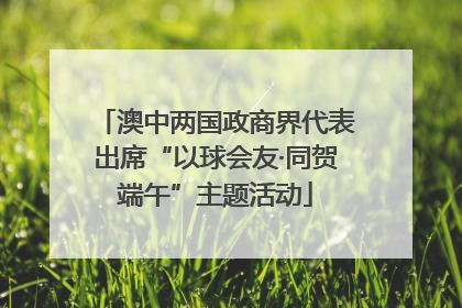 澳中两国政商界代表出席“以球会友·同贺端午”主题活动