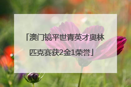 澳门镜平世青英才奥林匹克赛获2金1荣誉