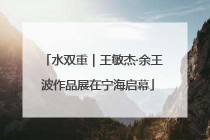 水双重｜王敏杰·余王波作品展在宁海启幕