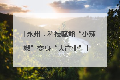 永州：科技赋能“小辣椒”变身“大产业”