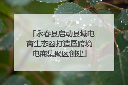 永春县启动县域电商生态圈打造暨跨境电商集聚区创建