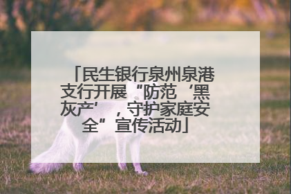 民生银行泉州泉港支行开展“防范‘黑灰产’，守护家庭安全”宣传活动