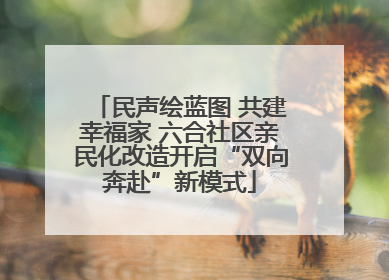 民声绘蓝图 共建幸福家 六合社区亲民化改造开启“双向奔赴”新模式
