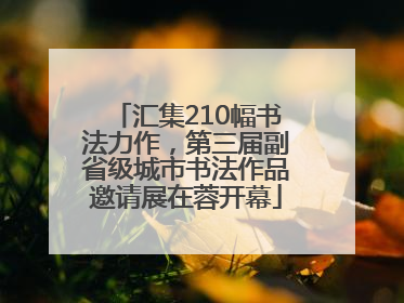 汇集210幅书法力作，第三届副省级城市书法作品邀请展在蓉开幕