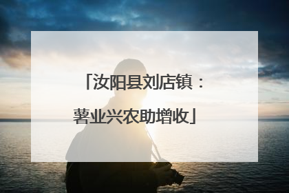 汝阳县刘店镇：薯业兴农助增收