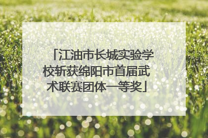 江油市长城实验学校斩获绵阳市首届武术联赛团体一等奖
