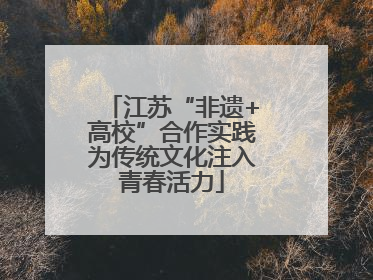 江苏“非遗+高校”合作实践为传统文化注入青春活力