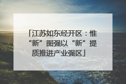 江苏如东经开区：惟“新”图强以“新”提质推进产业强区