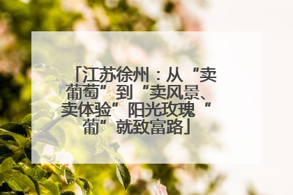 江苏徐州：从“卖葡萄”到“卖风景、卖体验”阳光玫瑰“葡”就致富路