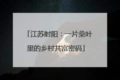 江苏射阳：一片桑叶里的乡村共富密码