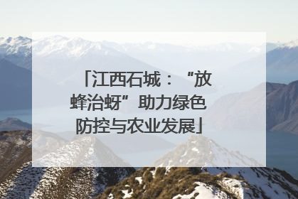 江西石城：“放蜂治蚜”助力绿色防控与农业发展