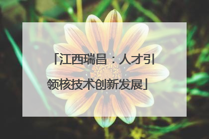 江西瑞昌：人才引领核技术创新发展