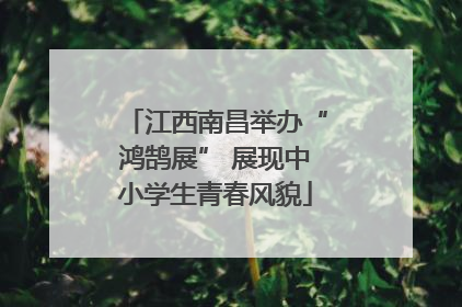 江西南昌举办“鸿鹄展” 展现中小学生青春风貌