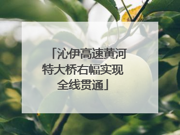 沁伊高速黄河特大桥右幅实现全线贯通