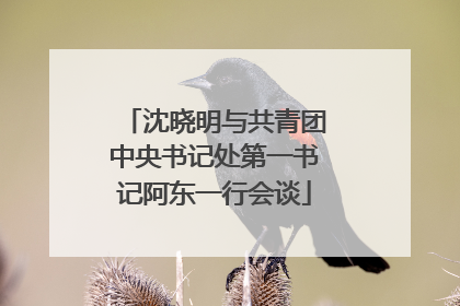 沈晓明与共青团中央书记处第一书记阿东一行会谈