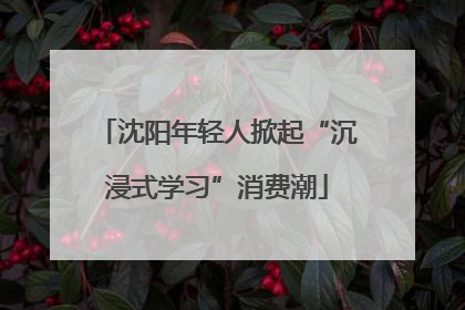 沈阳年轻人掀起“沉浸式学习”消费潮