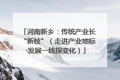 河南新乡：传统产业长“新枝”（走进产业地标·发展一线探变化）