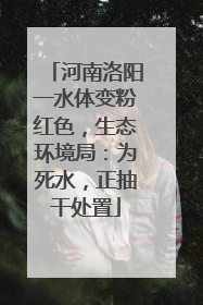 河南洛阳一水体变粉红色，生态环境局：为死水，正抽干处置