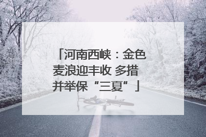 河南西峡：金色麦浪迎丰收 多措并举保“三夏”