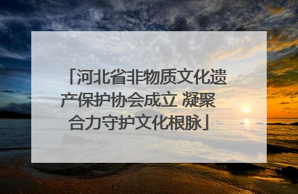 河北省非物质文化遗产保护协会成立 凝聚合力守护文化根脉