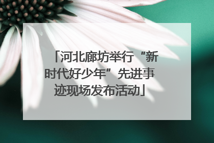 河北廊坊举行“新时代好少年”先进事迹现场发布活动