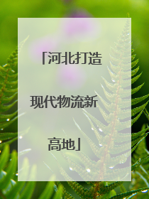 河北打造现代物流新高地