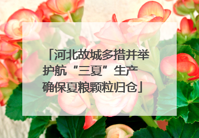 河北故城多措并举护航“三夏”生产 确保夏粮颗粒归仓