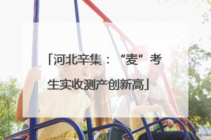 河北辛集：“麦”考生实收测产创新高