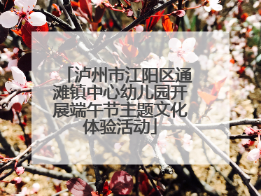 泸州市江阳区通滩镇中心幼儿园开展端午节主题文化体验活动