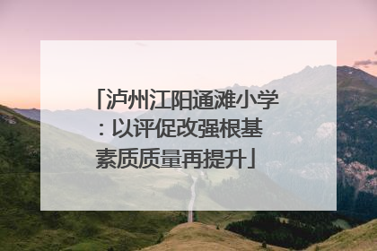 泸州江阳通滩小学：以评促改强根基 素质质量再提升