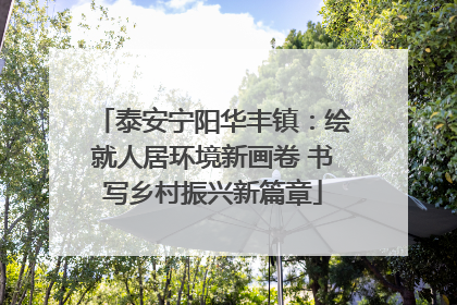 泰安宁阳华丰镇：绘就人居环境新画卷 书写乡村振兴新篇章