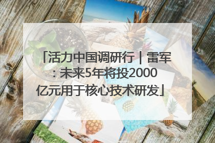 活力中国调研行｜雷军：未来5年将投2000亿元用于核心技术研发