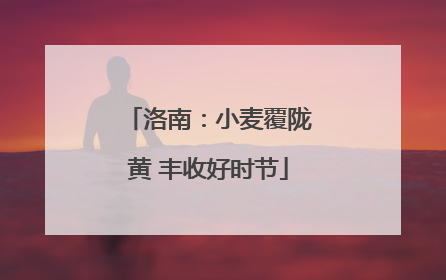 洛南：小麦覆陇黄 丰收好时节