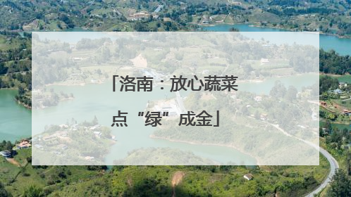 洛南：放心蔬菜点“绿”成金